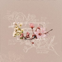 Provider - Single - Isaac Wheadon & Montell Fish