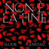 Non È La Fine (feat. Gemitaiz) artwork