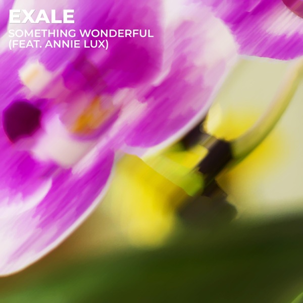 Something Wonderful (feat. Annie Lux)