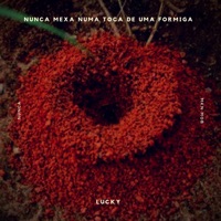 Nunca Mexa Numa Toca de uma Formiga - Single - MKN MOB & Lucky