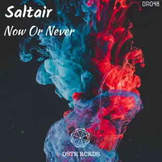 Now Or Never by Saltair & DSTR RCRDS song reviws