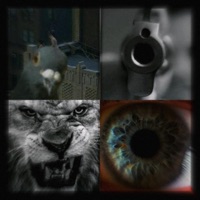 Z Blizka - Single - Hejspasi