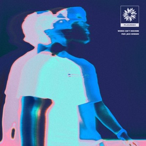Words Can't Describe - Single