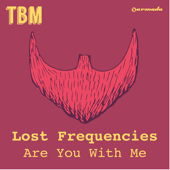 Are You With Me (Extended Mix) - Lost Frequencies