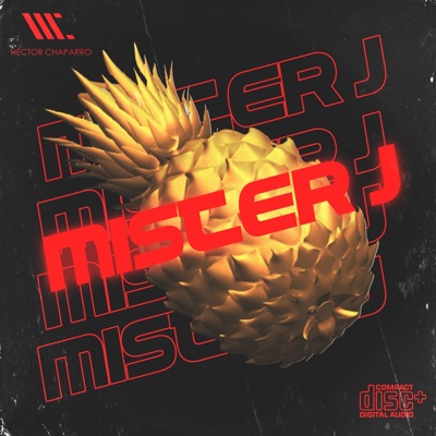 Mister J - Single