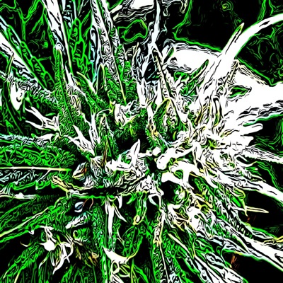 Poun Da Green - Single