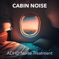 Adhd Noise Treatment - Single - Cabin Noise