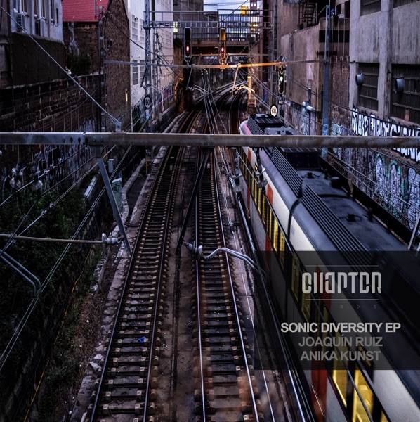 Sonic Diversity - Single