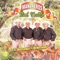 He Tratado de Olvidarte - Los Mananeros Del Valle De Feliciano Bonilla lyrics