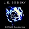 L. E. Big D Sky - Dennis Callahan lyrics