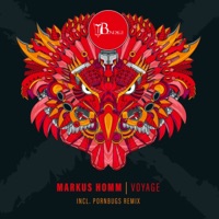 Voyage - Single - Markus Homm