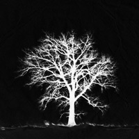 Pans (feat. Quentin Miller & Thecoolismac) - Single - Always November