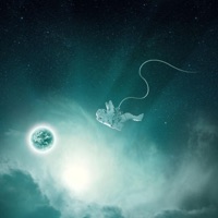 Trap - Single - Tspize