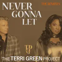Never Gonna Let (Toddi Reed & Jobrizz Soul Rework Extended) — The Terri Green Project