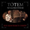 No Llores Por Mi - Single