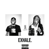 Exhale artwork