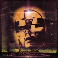 Flash Photography Lobotomy - Single - HiddenRoad