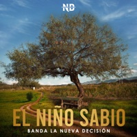 El Niño Sabio - Single - Banda la Nueva Decisión