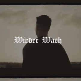 Wieder Wach Rexon241