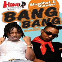 Bang Bang (feat. Shaydee) - Single - Bloodhot