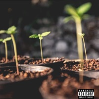 Só Vai Colher Quem Plantar - Single - Luan