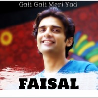 Gali Gali Meri Yad (Remix) - Single - Faisal