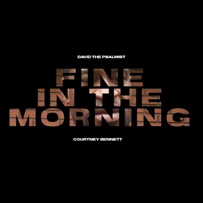 Fine in the Morning - Single