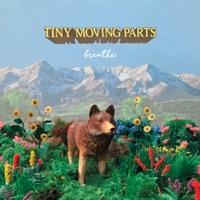Tiny Moving Parts - Medicine