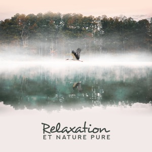 Relaxation et nature pure: Calme profond, Paix intérieure, Trouver le bonheur