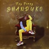 Shanduko - Single