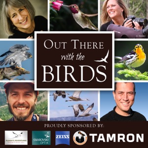 Episode 57: Introducing Two New Hosts: Wendy Clark and Dawn Hewitt, Part II
