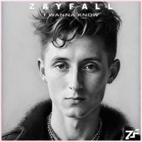 I Wanna Know - Single - Zayfall