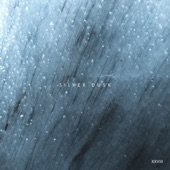 Feather Rain (Zoi Remix) artwork