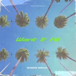 Want It All - Single