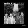 Gunther Brown - I Believe in Love Again