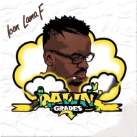 Dawn Grades - Icon Lamaf