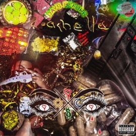 La$ Palma$ (feat. YR$ Astrø & LIVFromTheLV) L$dank