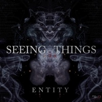 Entity - Single - Seeing Things