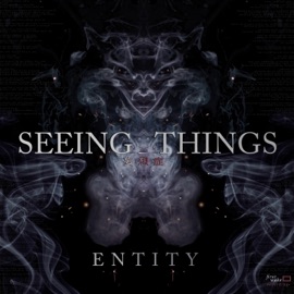 Entity Seeing Things