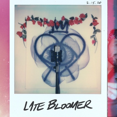 Late Bloomer