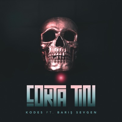 Çokta Tın (feat. Barış Sevgen) - Single