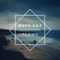 Flaws - Buff Cat lyrics