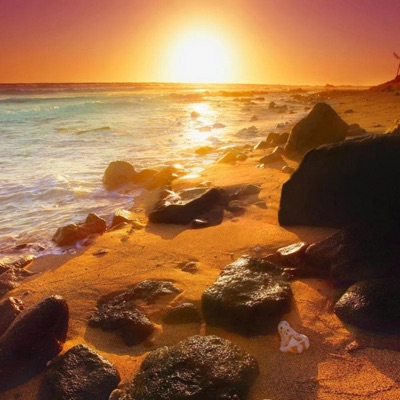 Positive Vibes - Single