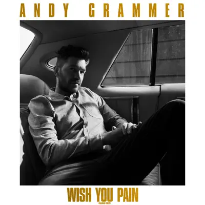 Wish You Pain (Radio Edit) - Single - Andy Grammer