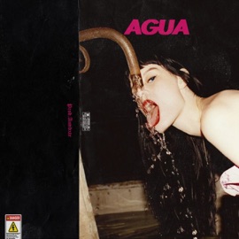 Água ANTARE$, Gxh, Cruz, Xand & Nicolas Atlas