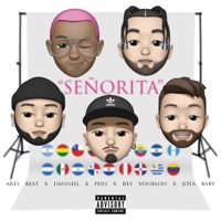 Señorita - Single - Ares Beat, Danniel, Pein, Rey Vonblon & Jota Baby
