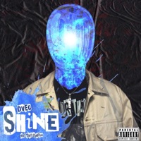 Shine (feat. Theylovefrioo) - Single - DVEG