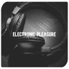 Electronic Pleasure