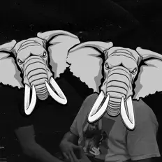 收听 Bass Elephants、观看音乐视频、阅读小传、查看巡演日期等 ！