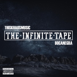 Without You Thiskhaosmusic & Bocanegra